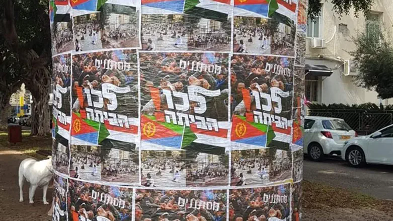 מודעות לכו הביתה