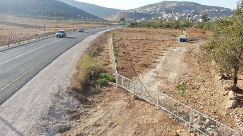 ערבים משתלטים על שטח C בבנימין