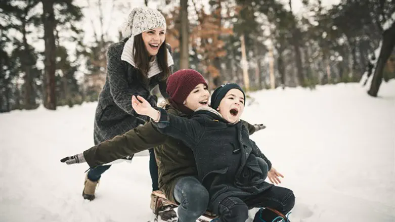 Весело на снегу