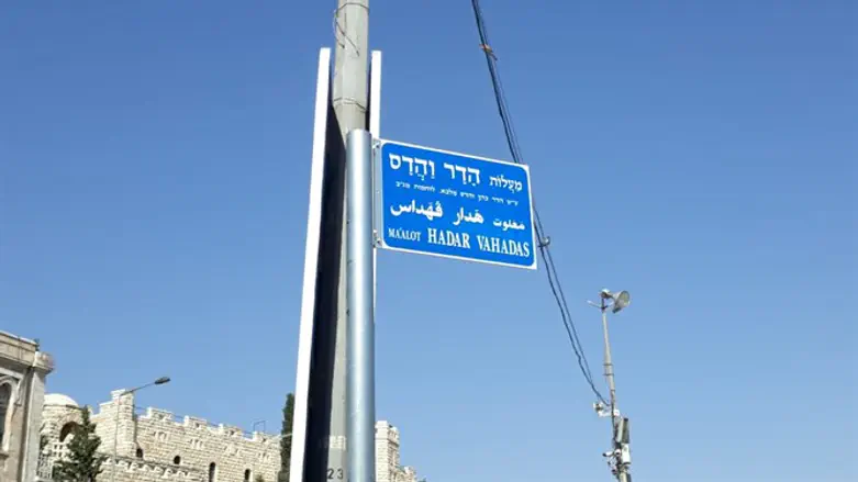 מעלות הדר והדס