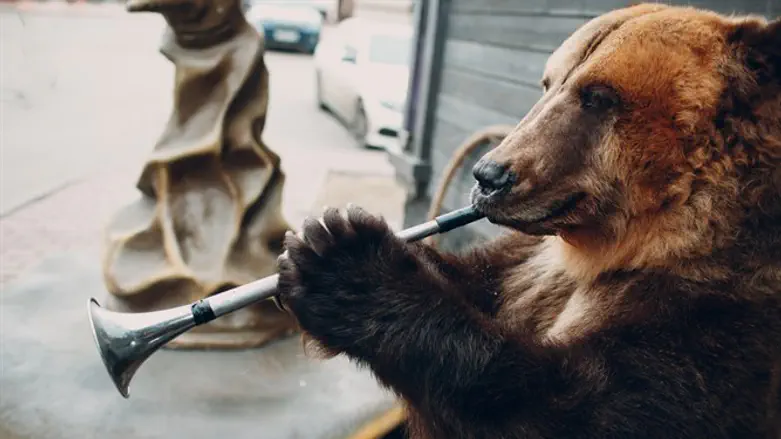 יש לדובים גם יכולות מפתיעות