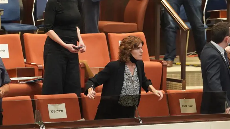 ח"כ תמר זנדברג