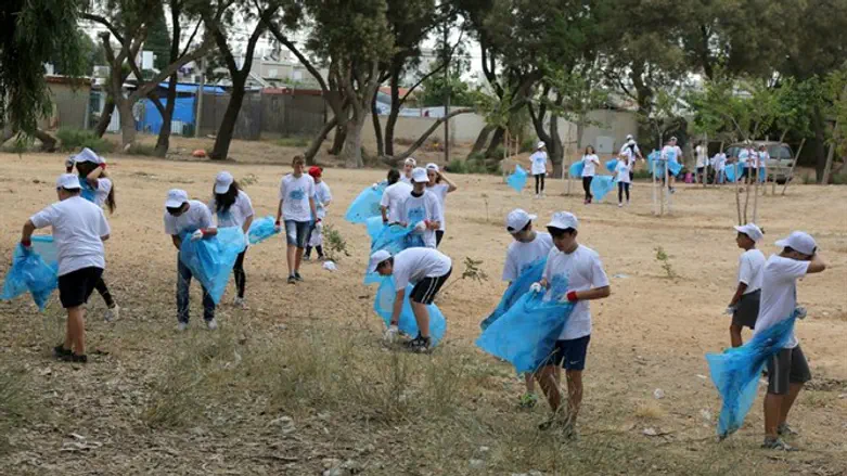 קק''ל. ארכיון