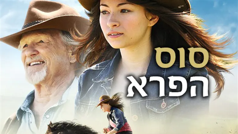 דרמה על אהבה. סוס פרא