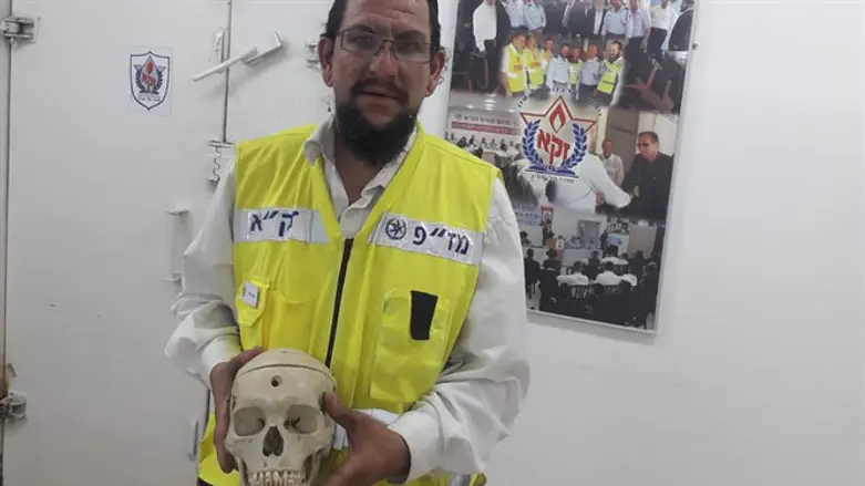 המתנדב עם הגולגולת