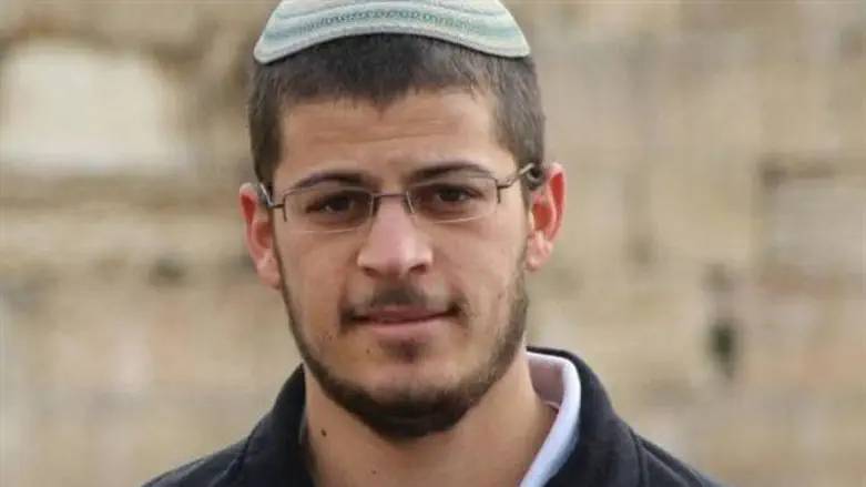 אריה מינקוב