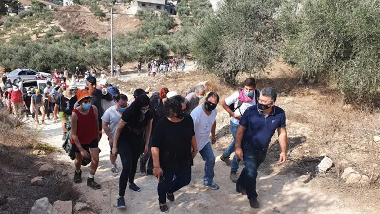 הח"כים ופעילי השמאל בדרכם למסיקה