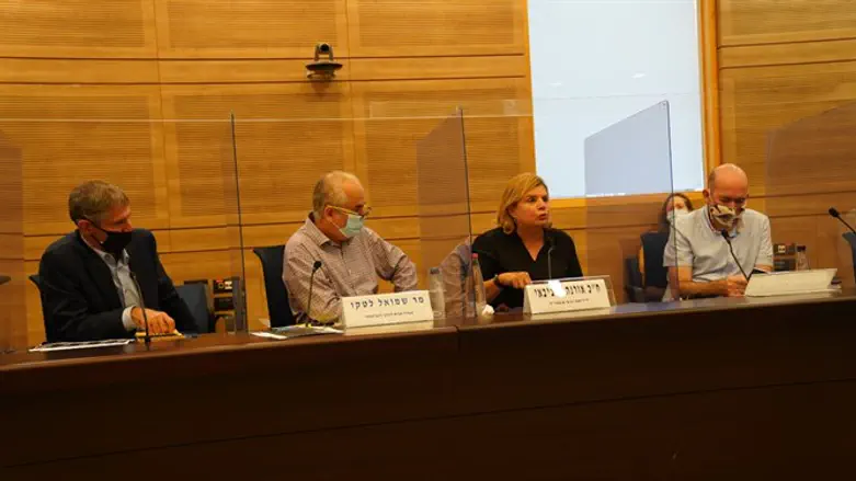 הדיון בוועדת המשנה