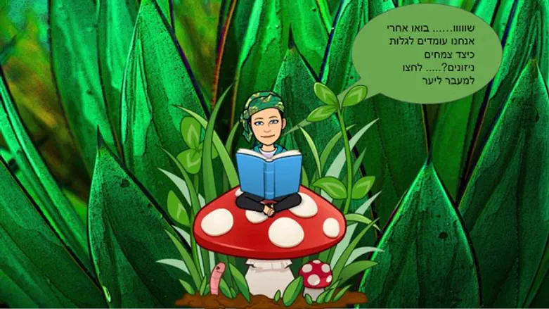 הכיתה הוירטאולית של חגית קליין