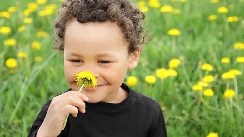 מדד הריח. אילוסטרציה