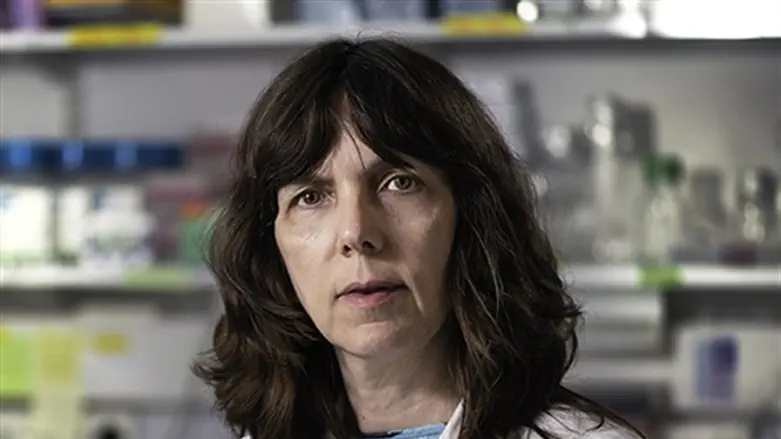 פרופ' דנה וולף