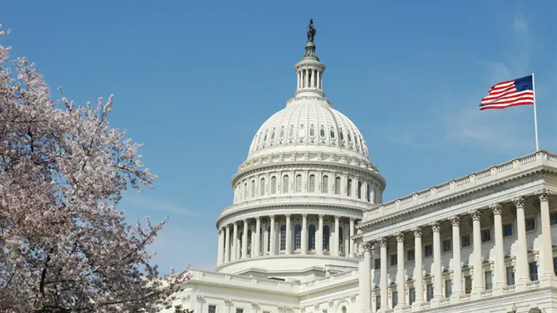 Здание Конгресса США. Иллюстрация