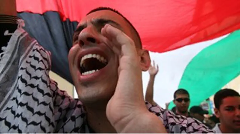 נגד הגרעינים התורניים