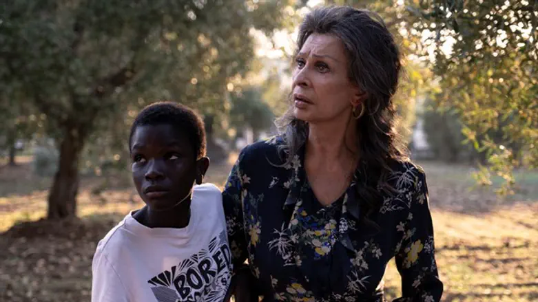 רוזה (סופיה לורן) ומומו