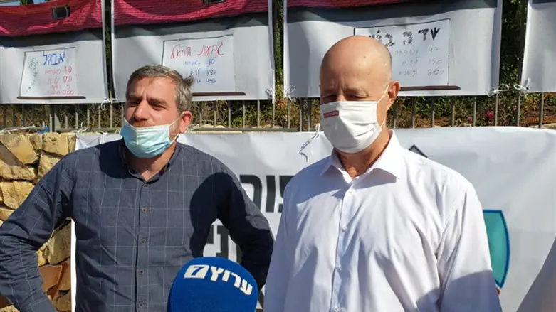 Цахи Анегби