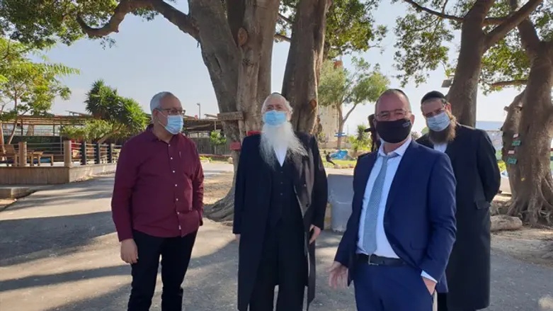 פרוש ברטורנו. היום