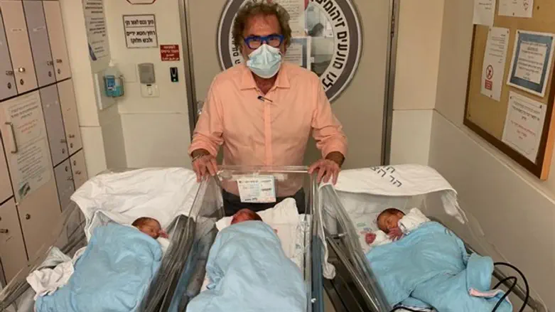 פרופ' שמחה יגל