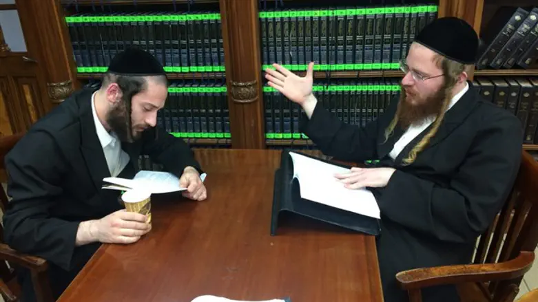 משתתפים בתוכנית