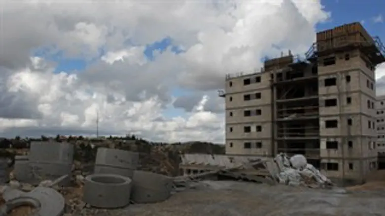 הקפאה חרישית. אלפי מנשה