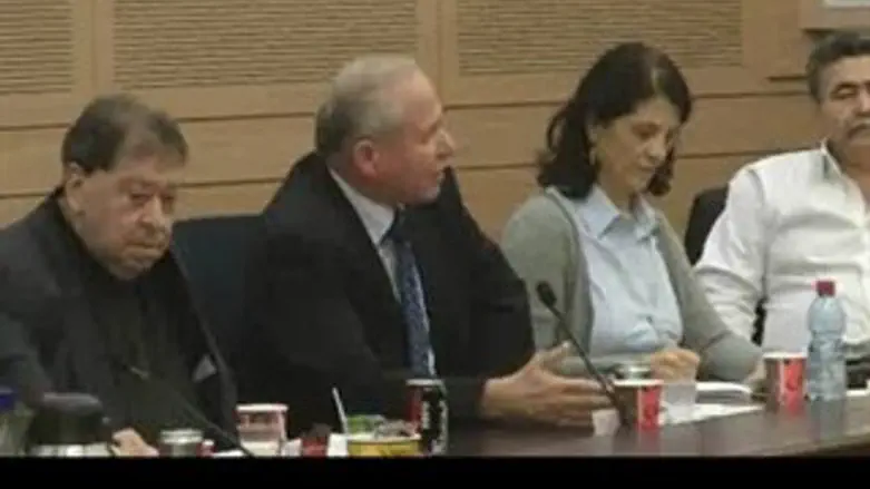 מיקורת מקיר לקיר