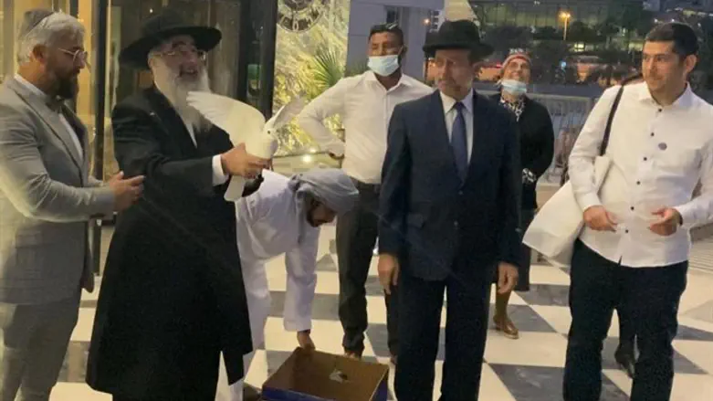 הרב שלמה אמסלם מפריח יונה