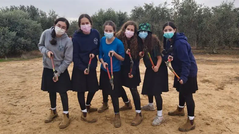 תנועת עזרא בקיבוץ