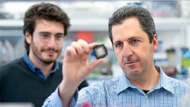 פרופ' קובי נחמיאס