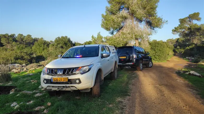 Место совершения теракта в лесу Рейхан