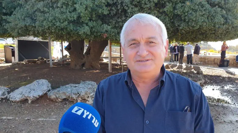 Алон Шустер