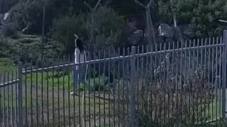 Esther Horgan on her last nature walk