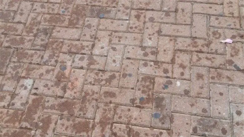 אבנים משתלבות כפיתרון לריצוף חוץ