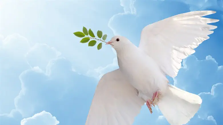 An olive branch or an empty promise?