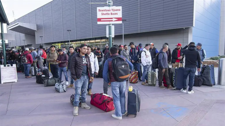 Мигранты (файл)