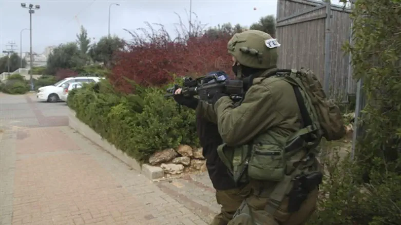 תרגיל רבש״צים. ארכיון