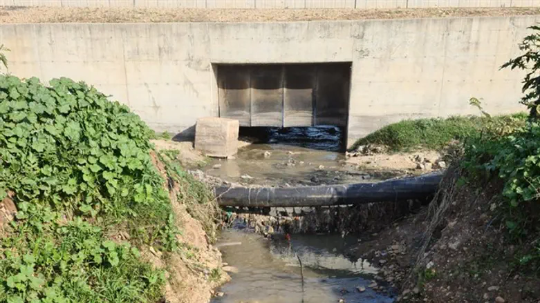 השפכים שזורמים לירקון