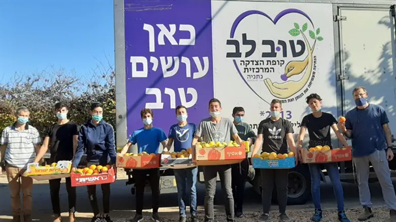 המתנדבים אוספים מזון