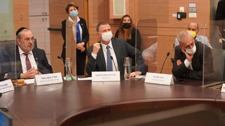 פרופ' אש, אדלשטיין וח"כ אשר בוועדת החוקה