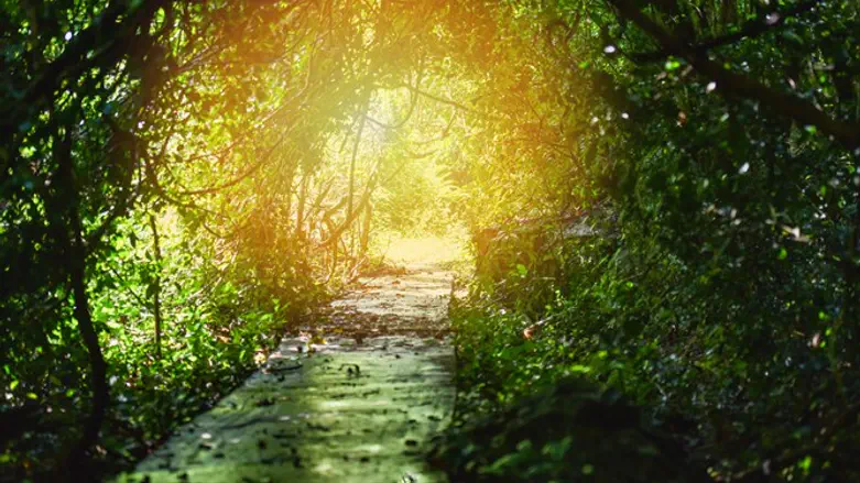 Pathway to redemption