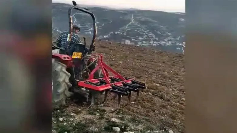 Вспашка земли у поселения Ицхар