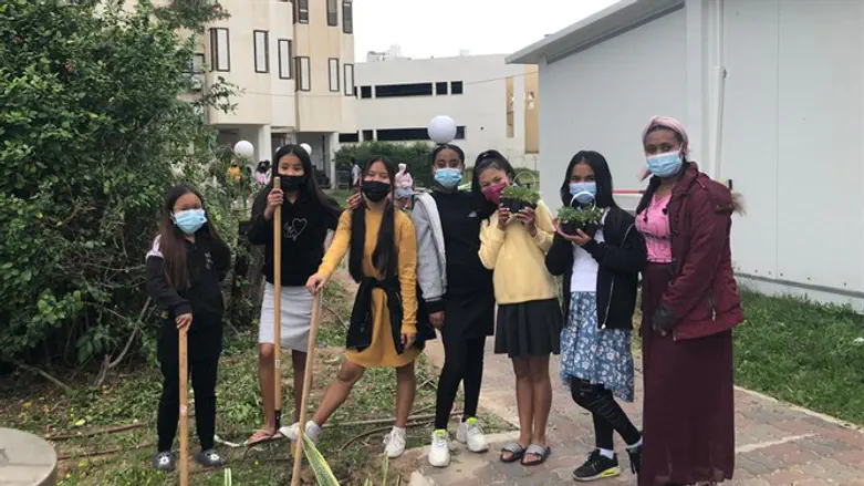 צמיחה והתחדשות