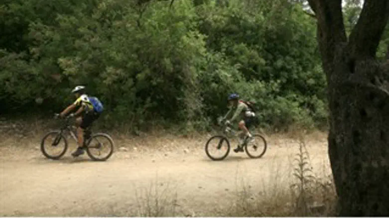 גם ביו"ש. מטיילים