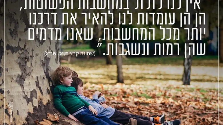 משפטי הרב קוק