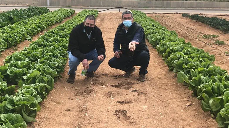 אבי וורצמן וחגי רזניק