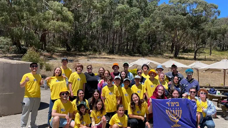 האקטיביזם הציוני