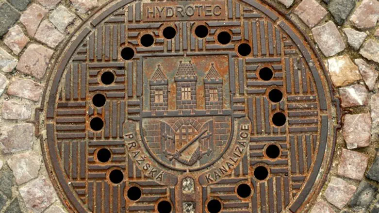 שירותי ביוב