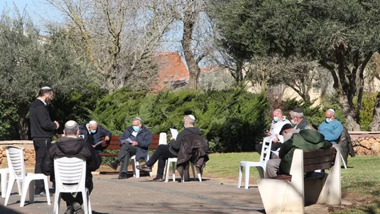 לומדים תורה ברחוב