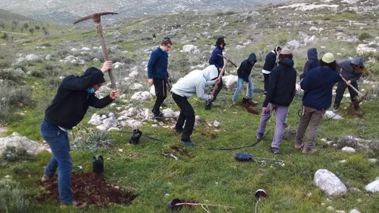 נטיעות ט''ו בשבט