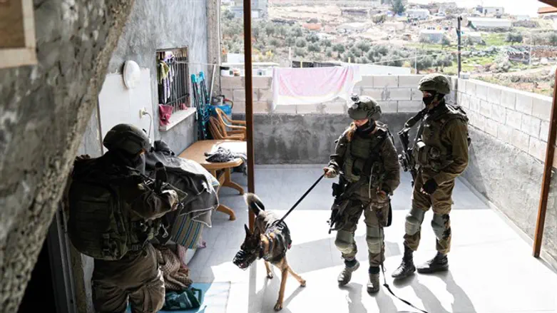 שומרים על ביטחון התושבים