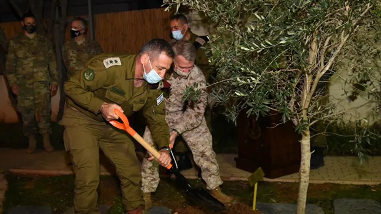 Generals McKenzie and Kochavi plant a tree
