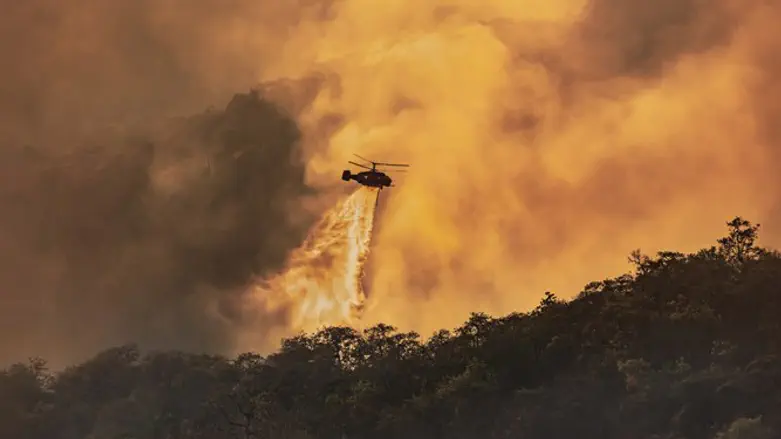 Forest fire